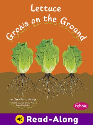 cover image of Lettuce Grows on the Ground